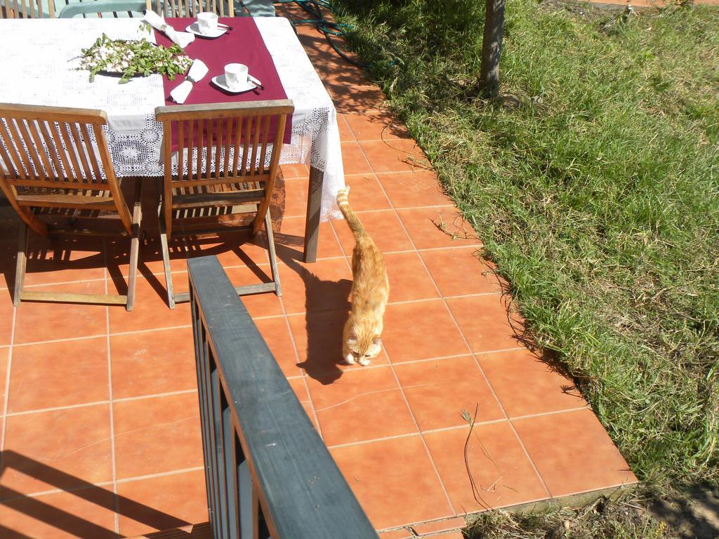 El Jardin De Los Gatos Apartament Caces Eksteriør bilde